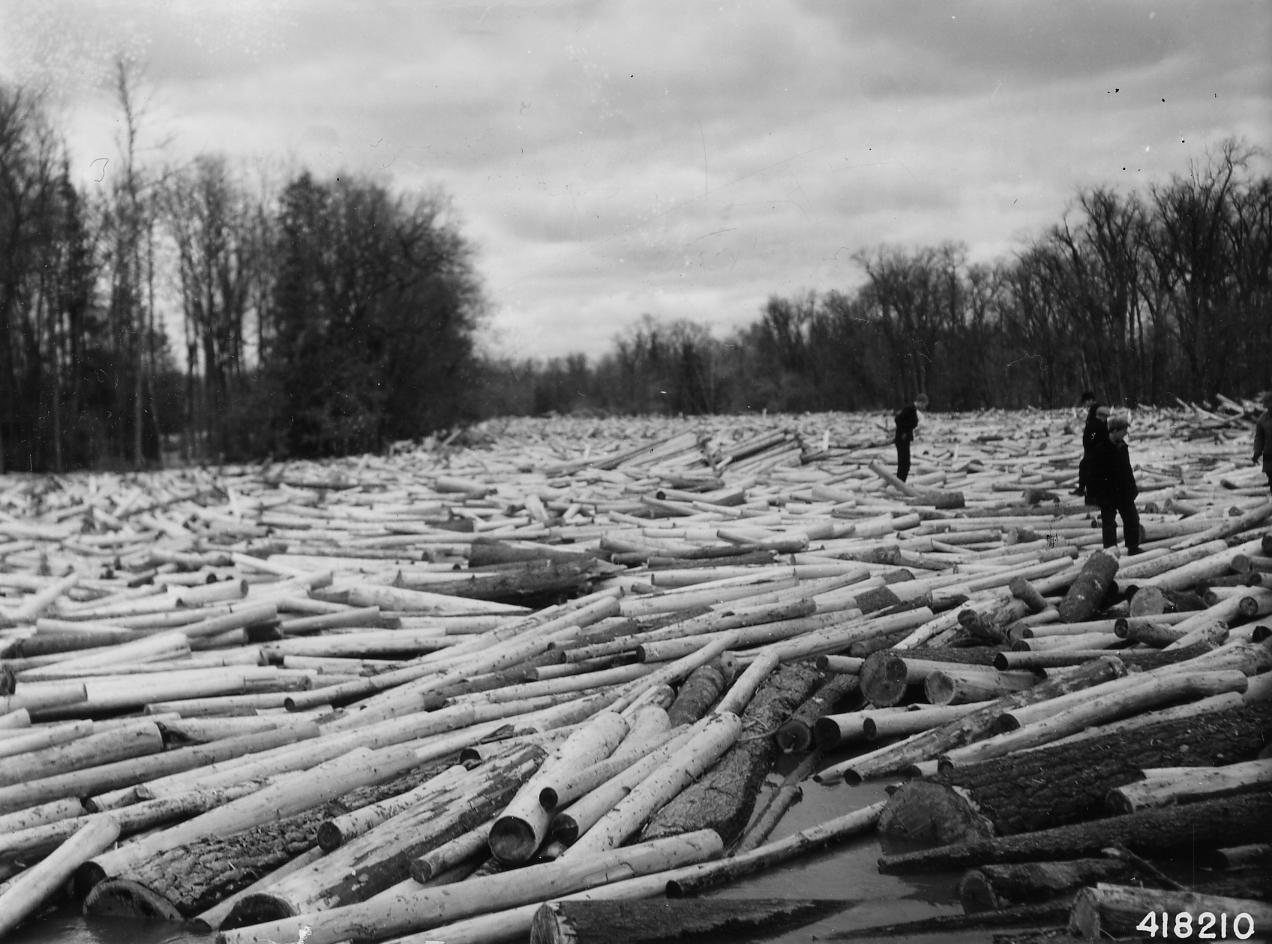 A river jammed with logs. Image: [Wikimedia](https://commons.wikimedia.org/wiki/File%3APhotograph_of_Log_Jam_-_NARA_-_2129372.jpg)
